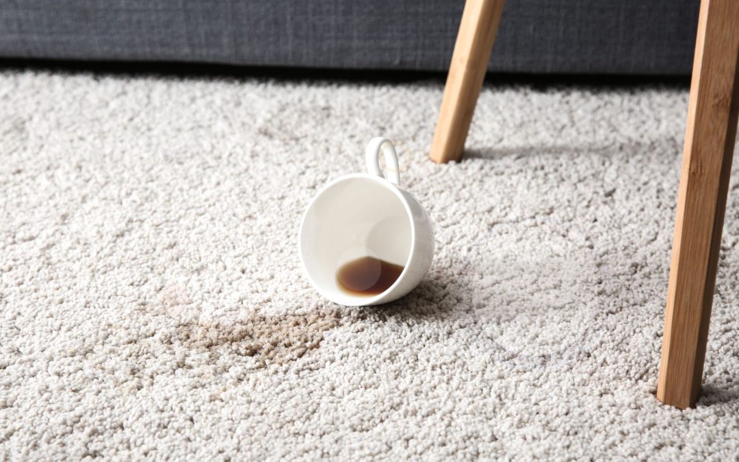 Carpet Repair | Chewed Corner 220407